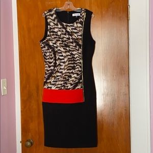 Calvin Klein Dress